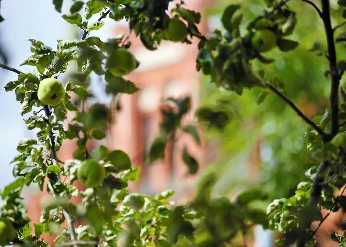 Friendly Place Doki Appartement